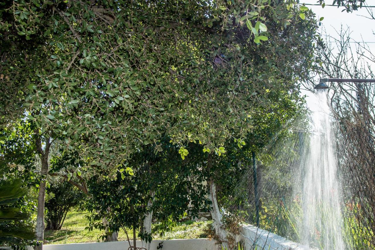 Villa Aelia - A Peaceful And Private Place Argostoli  Exteriör bild